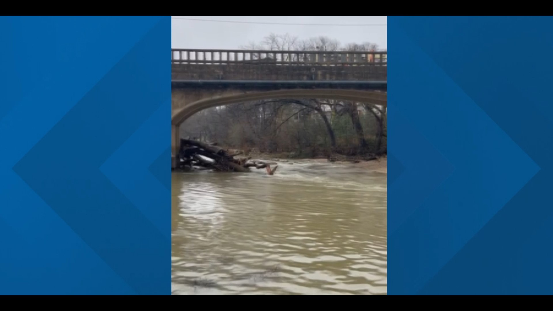 Video shows significant rise in Nolan Creek after rainfall hit Belton Tuesday morning.