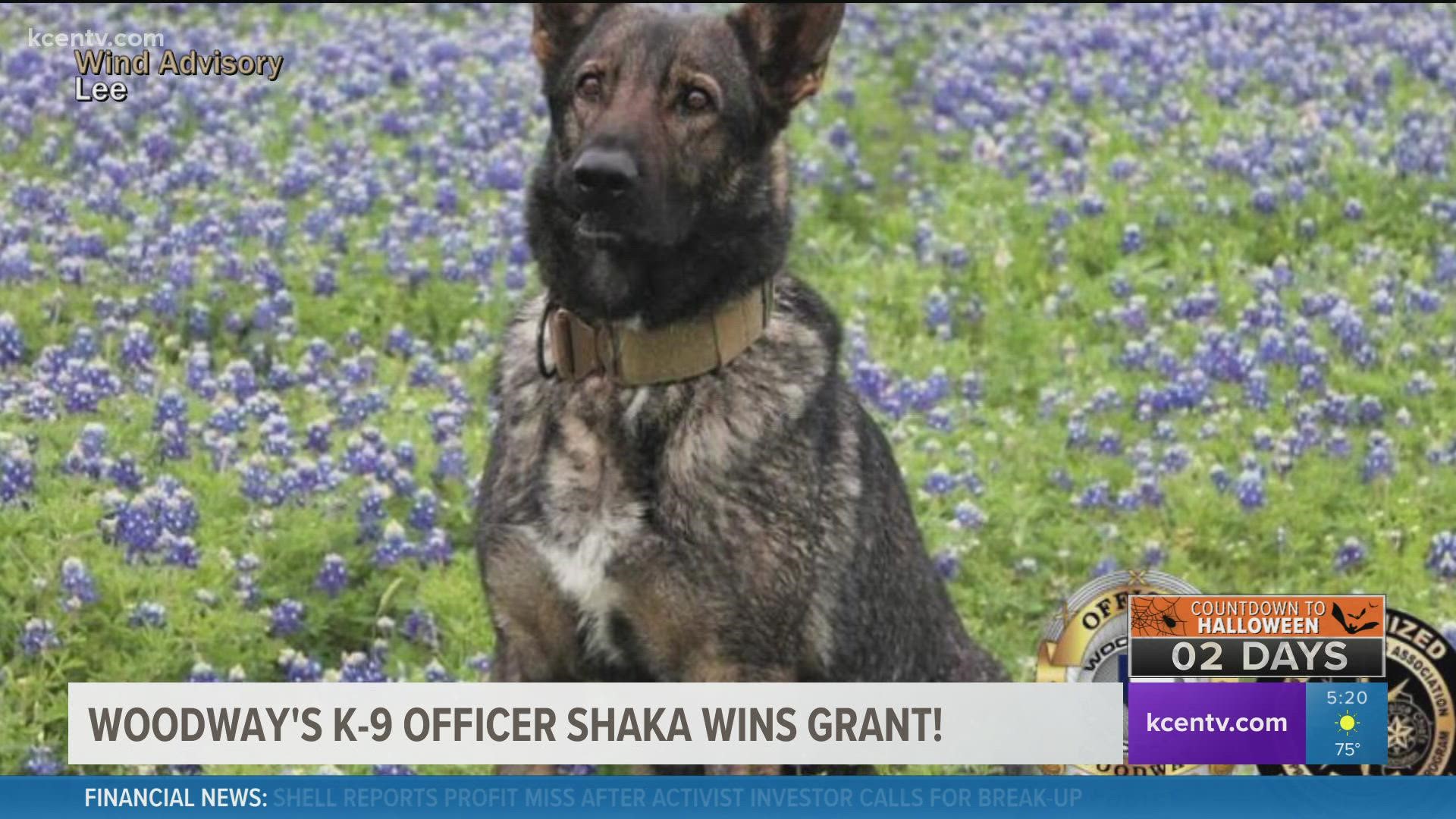 Shaka fought off an 18-month illness and then recovered from two rattlesnake bites.