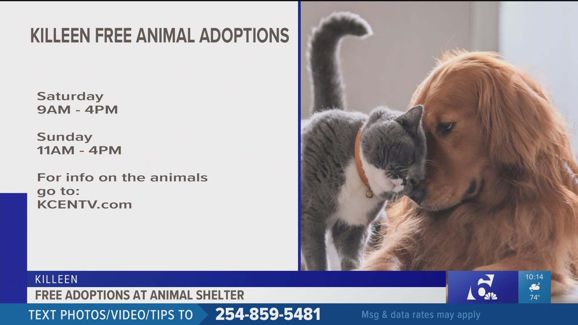 Fees will be waived for animals that are sterilized, vaccinated and microchipped.