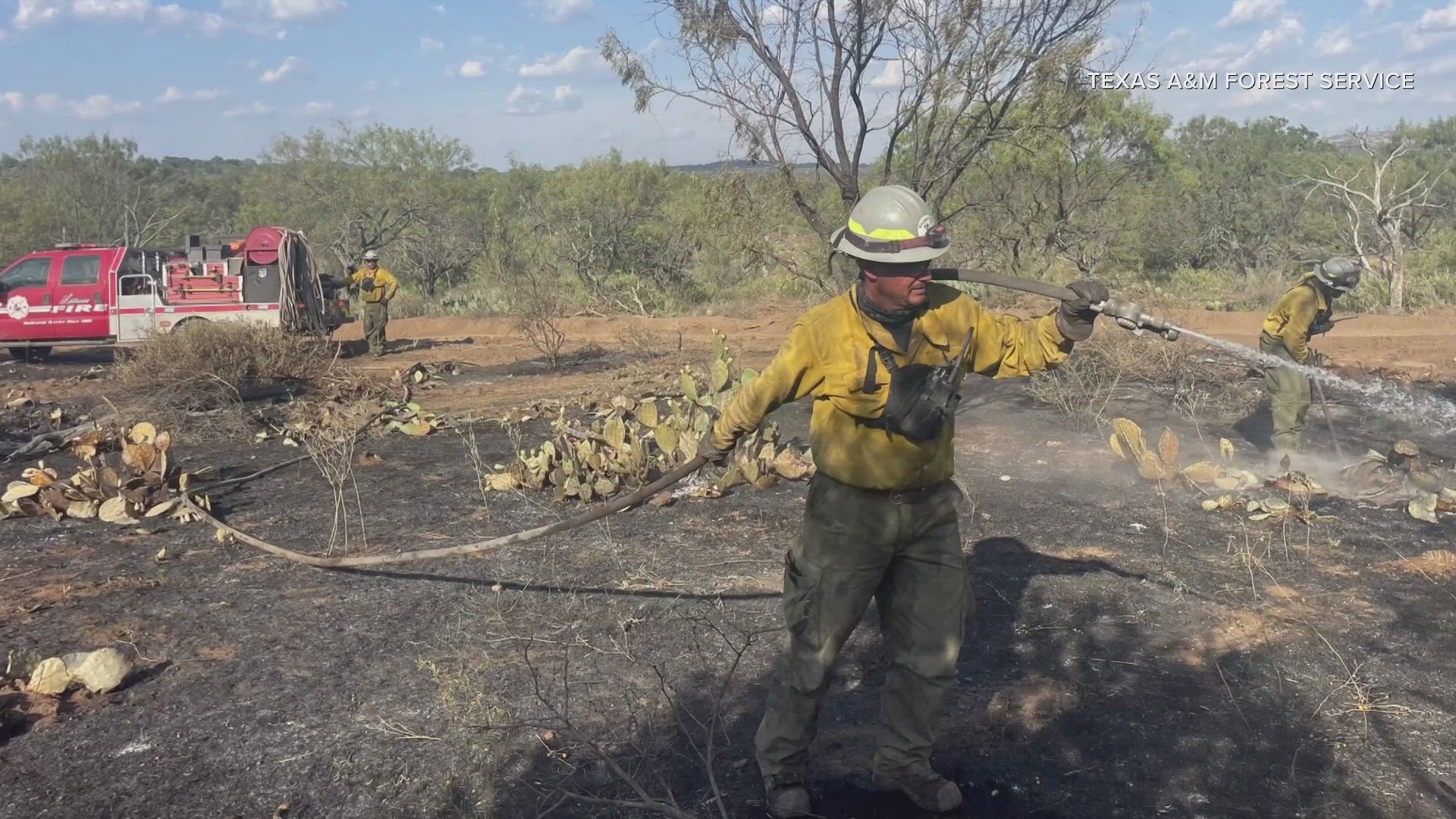 The Texas A&M Forest Service reports that wildfires have burned through over 5,000 acres of land.