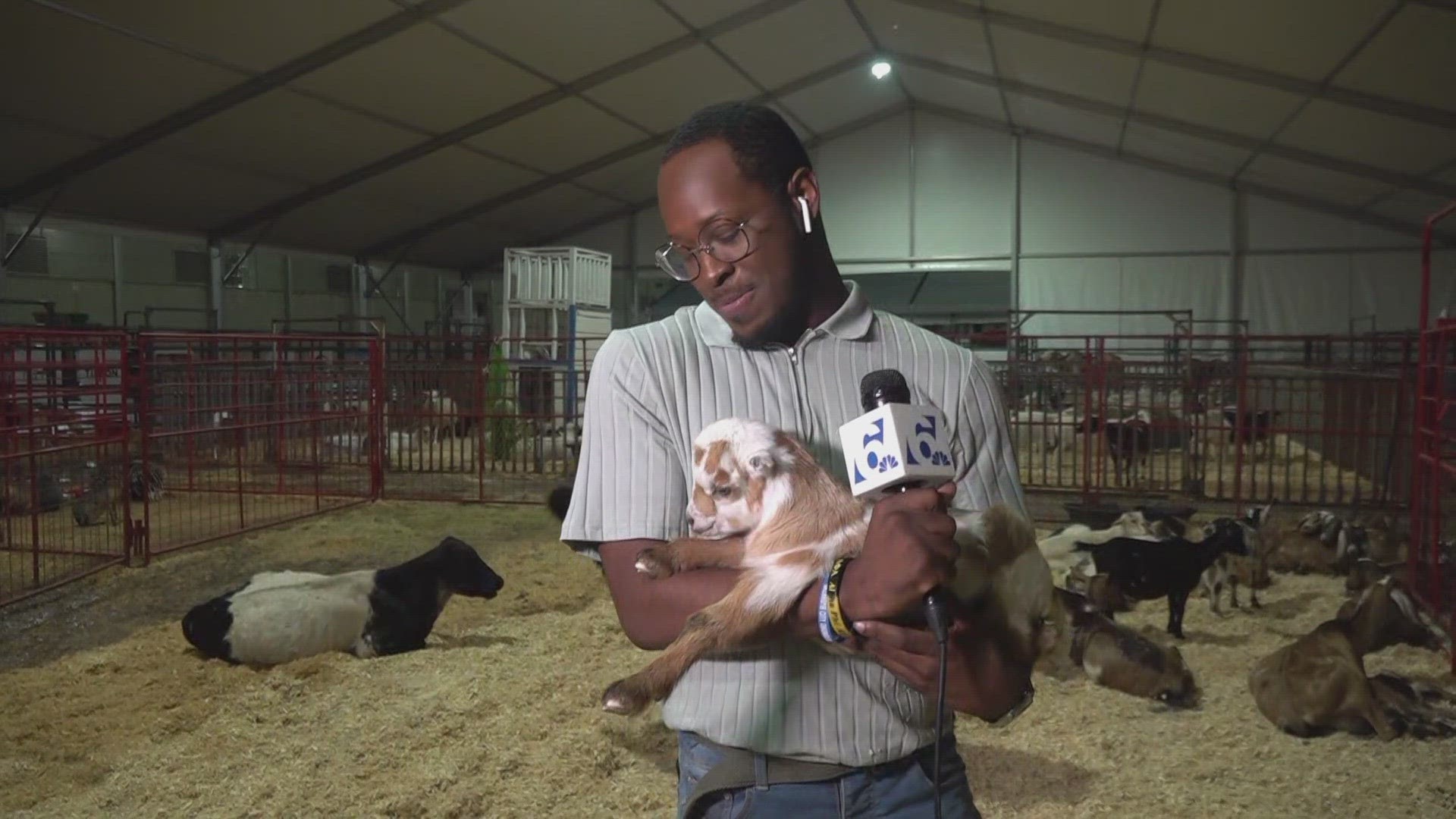 Organizers say this year is bigger and better than ever for the fair, and the show will go on rain or shine.