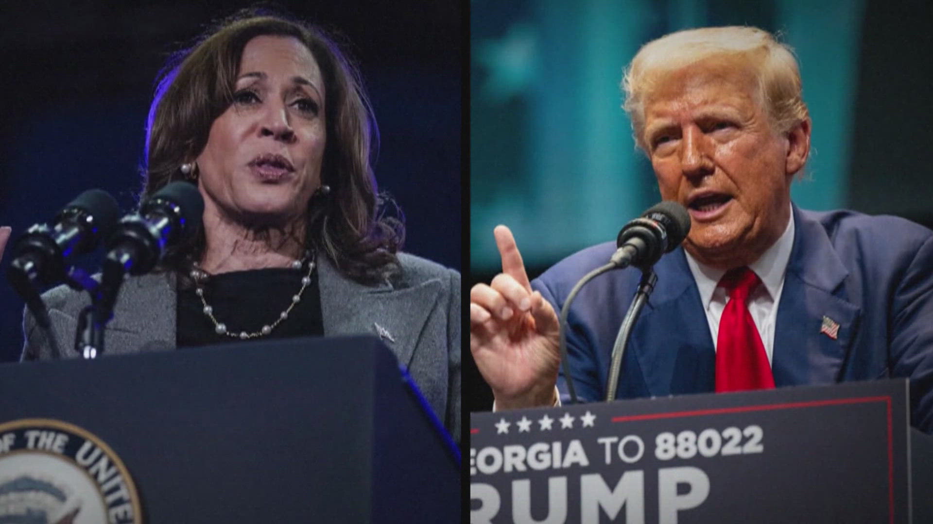 VP Kamala Harris, Former President Donald Trump remark on each other's campaign l 2024 Presidential Election 