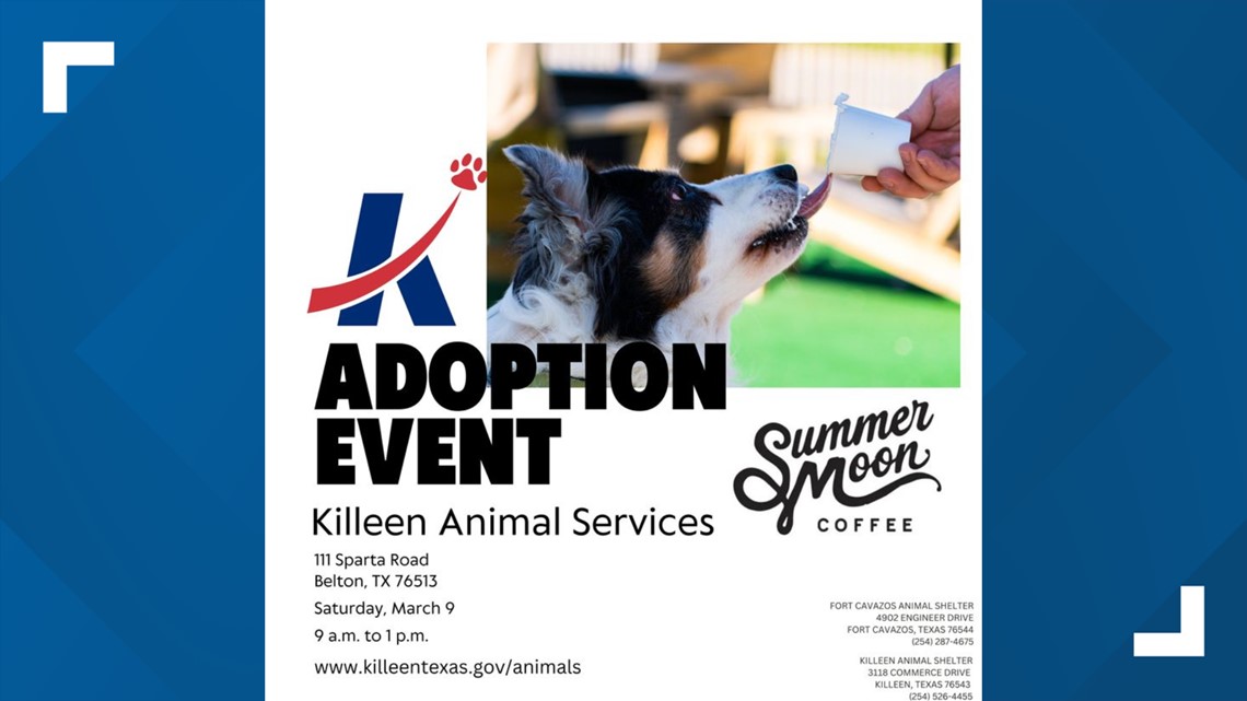 Killeen Animal Services holding adoption event in Belton March 9