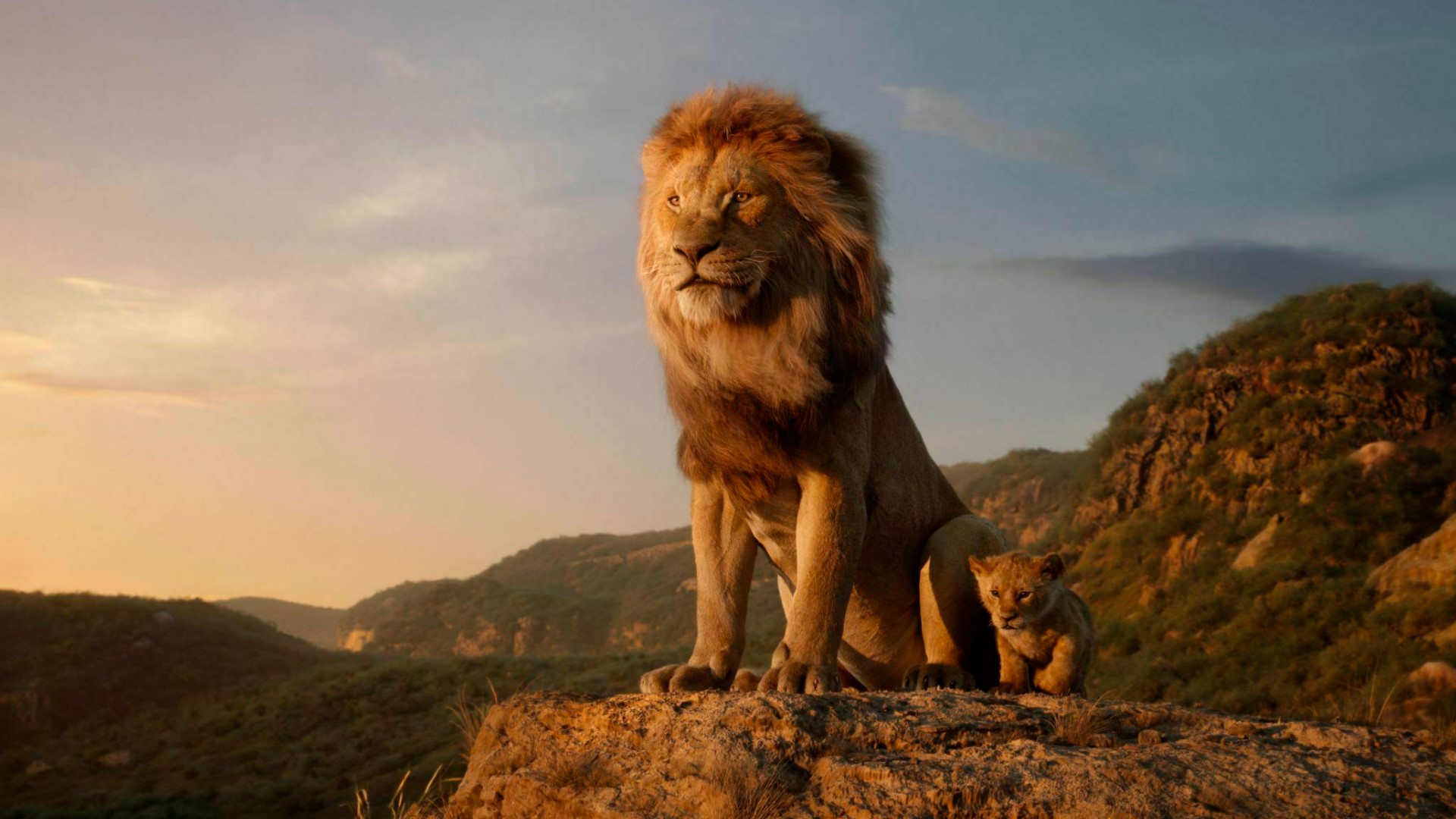 "The Lion King" drops Friday! How many stars will  Director Shawn Hobbs give it?