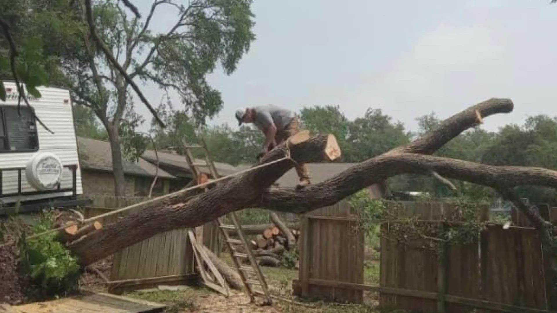 Rick Maddox and TexVet Trees and Milling are helping Central Texans recover from May's storms.