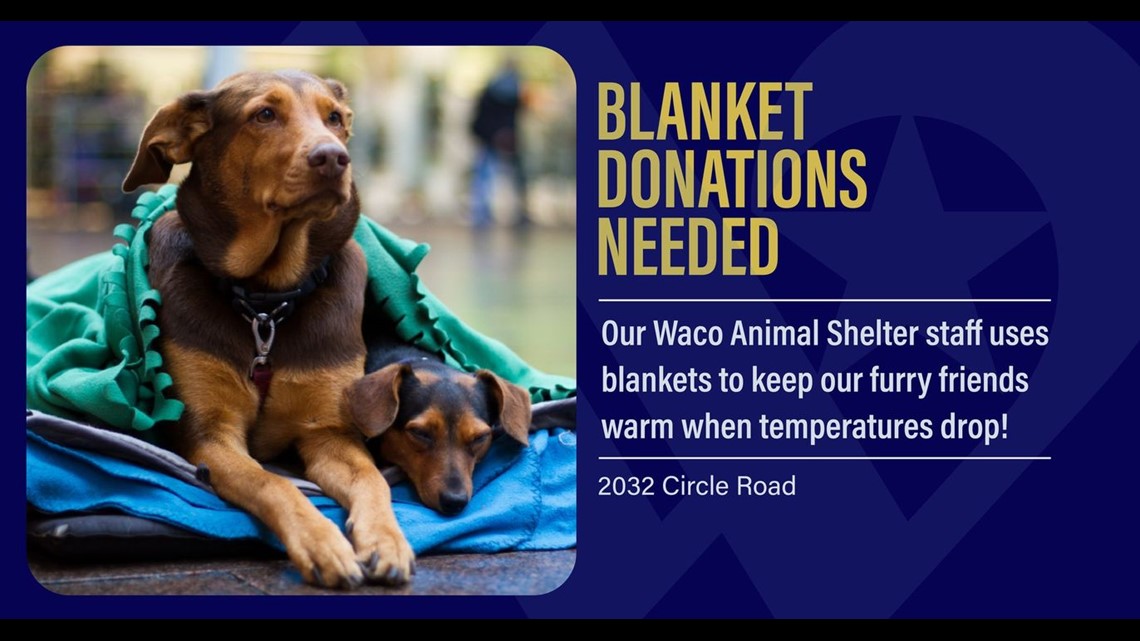 Waco Animal Shelter seeks winter donations for furry friends: TX ...