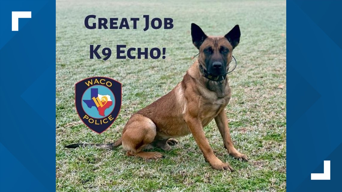 New Waco K9 Team makes first arrest - Vimarsana News