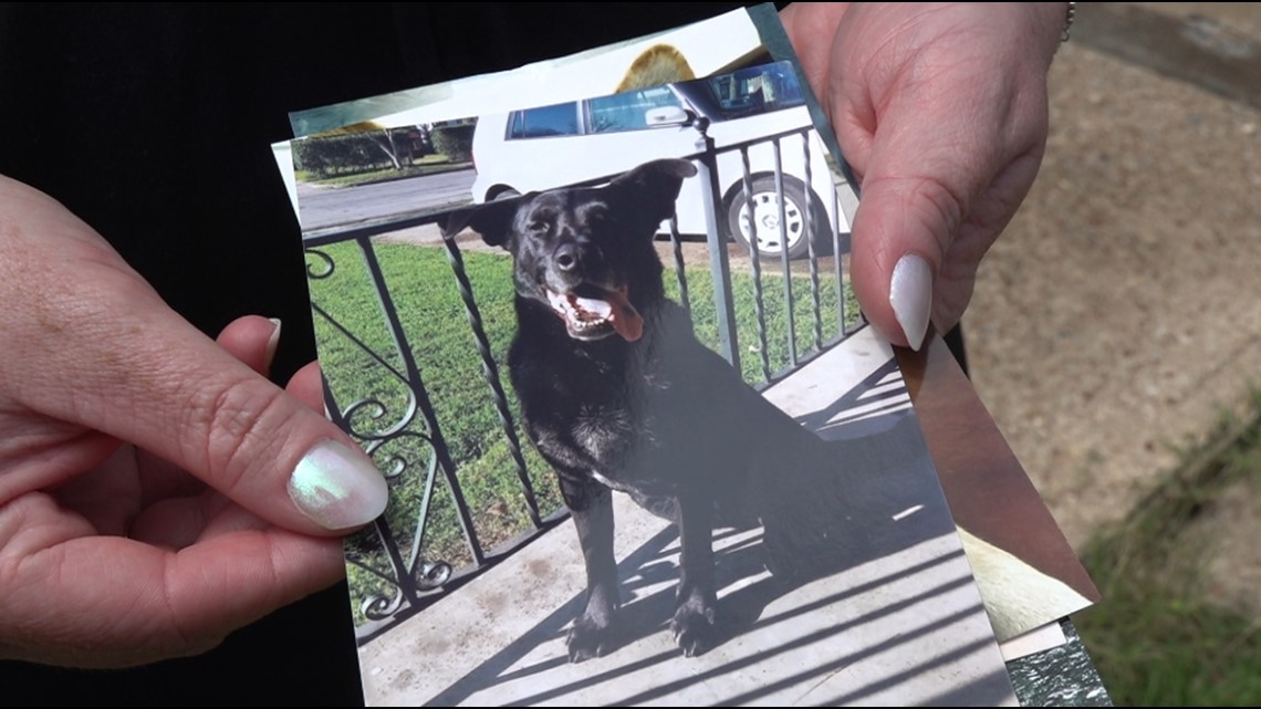 Waco, Texas News | Family speaks out after police kills dog - Vimarsana News