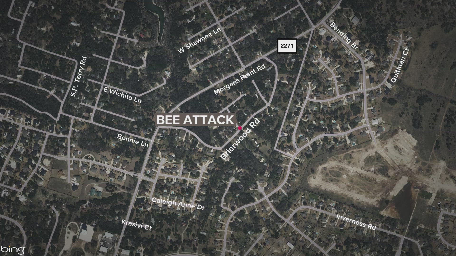 The attack comes just days after three rodeo horses were killed by Africanized bees in Comanche.