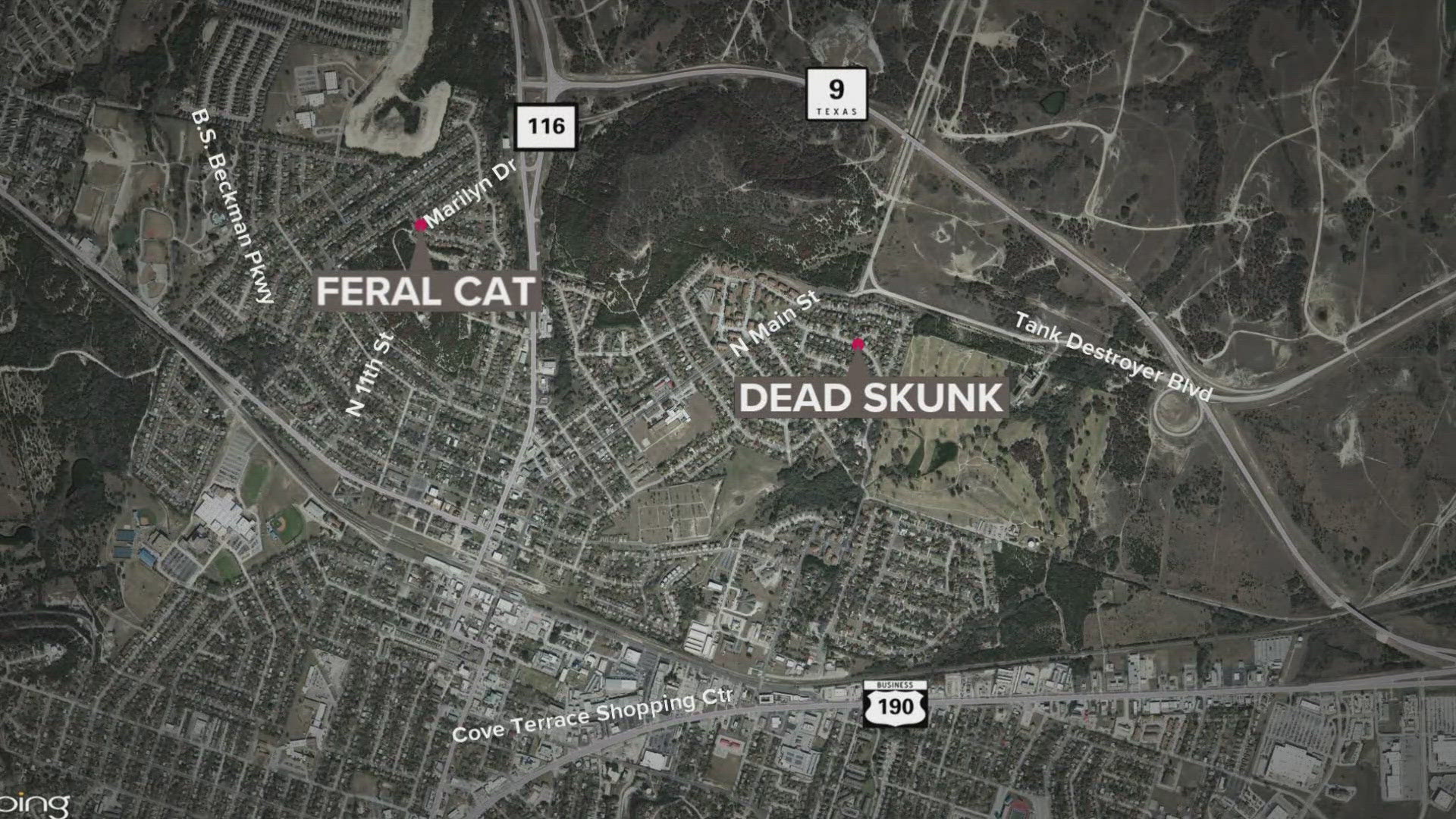 Residents who believe they or their pets have had contact with a skunk recently are asked to contact Animal Control immediately.