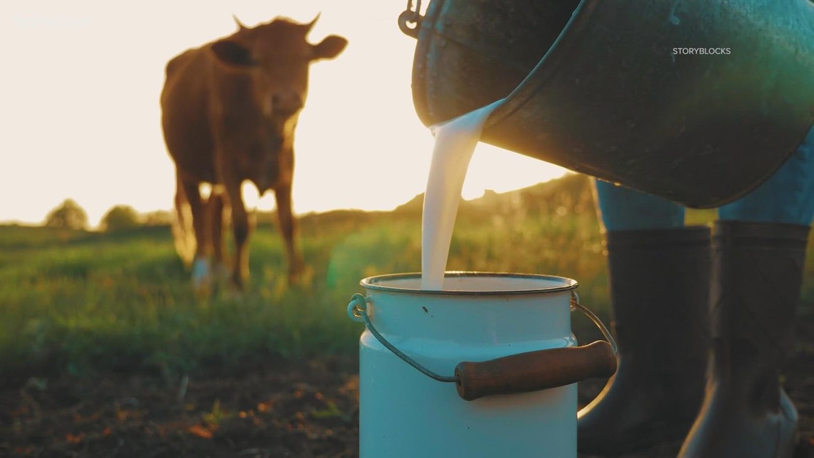 Verify: Should infants consume cow's milk?