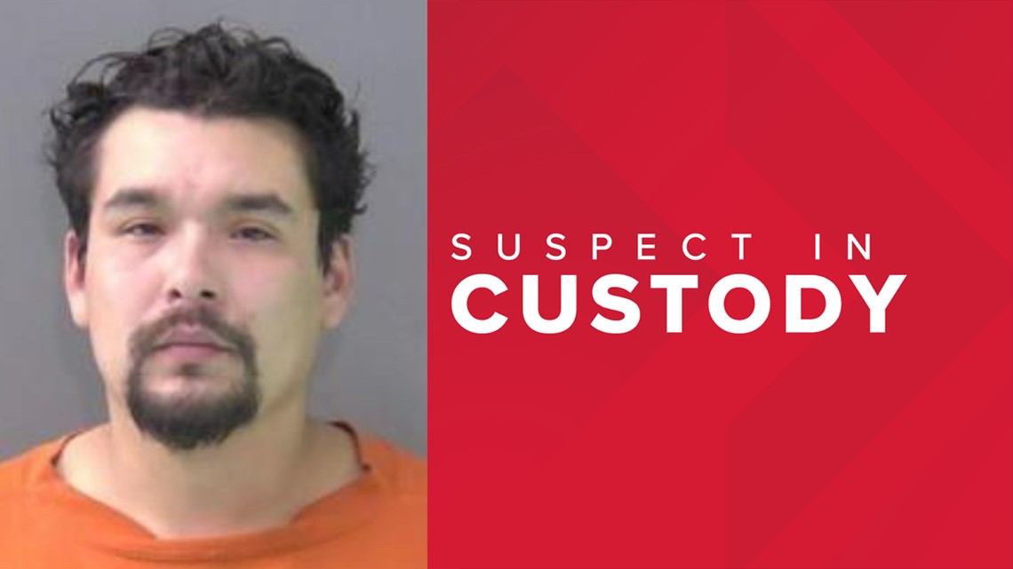 Police identify, charge suspect in attempted child kidnapping - Vimarsana News