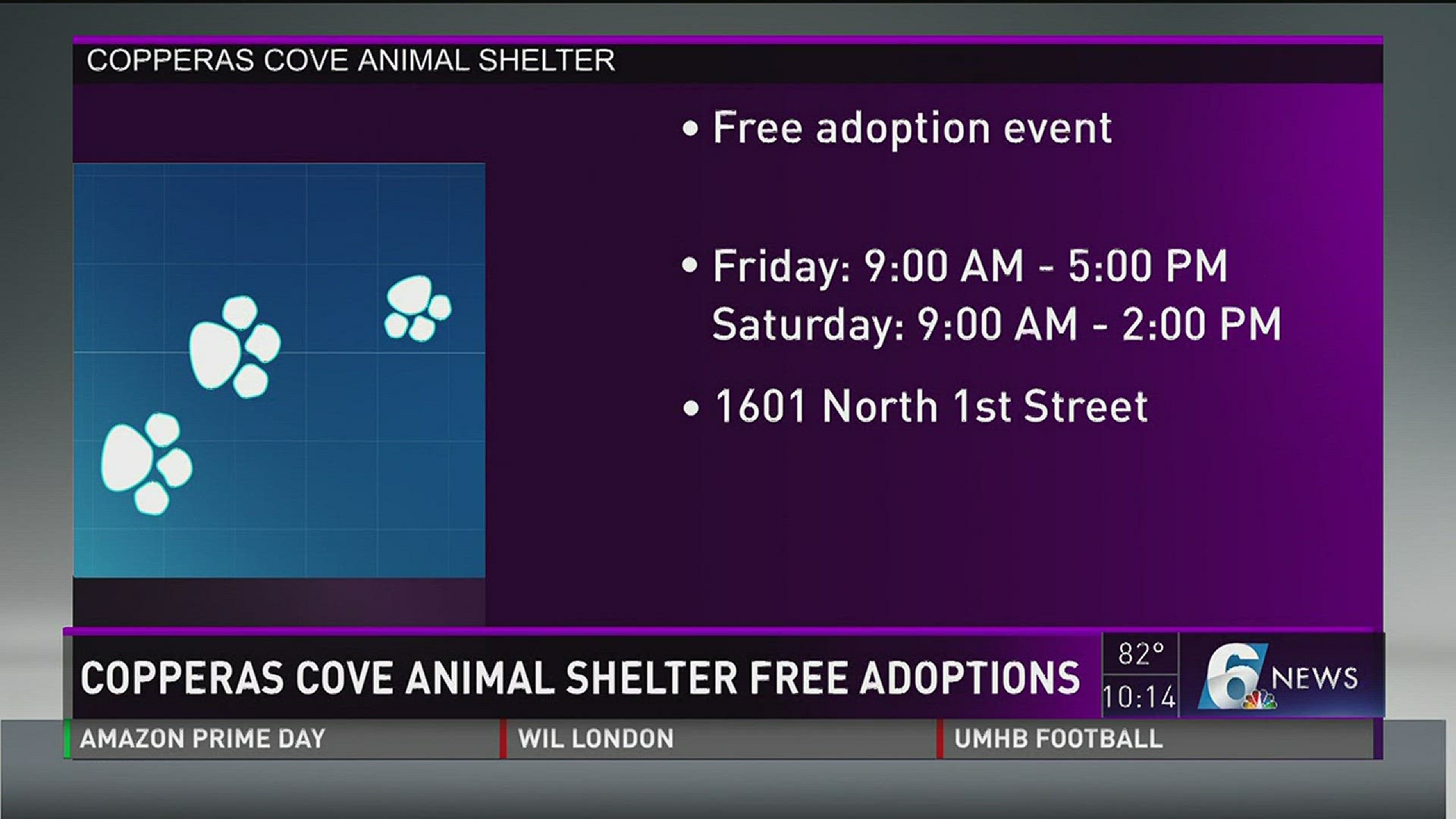 copperas-cove-animal-shelter-free-adoptions-kcentv