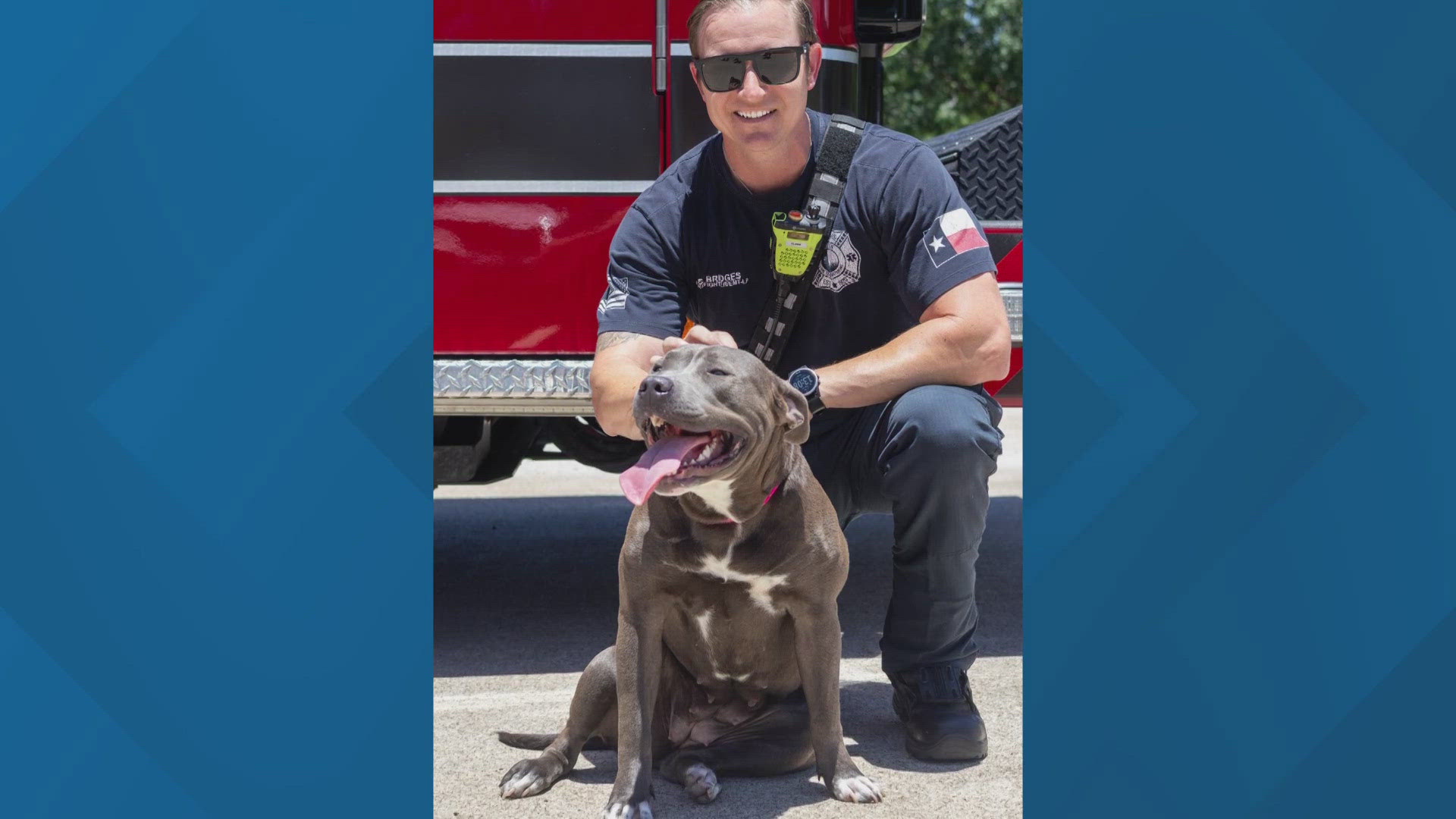Texas Today is highlighting this weeks Perfect Pet up for adoption at the Killeen Animal Shelter. 