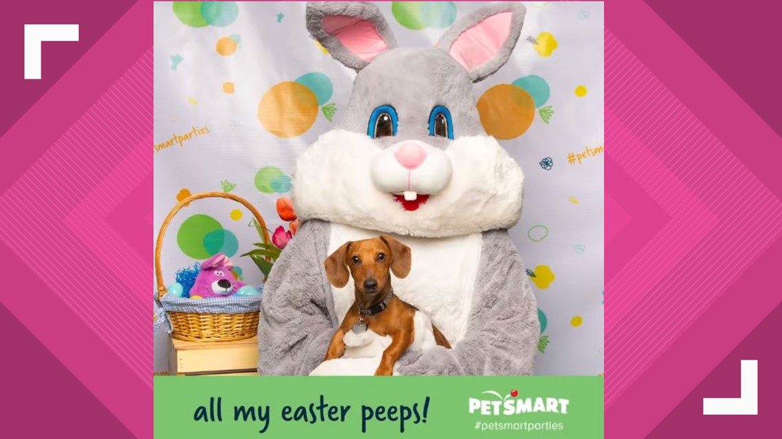 PetSmart offers free pictures of your pets with the Easter Bunny