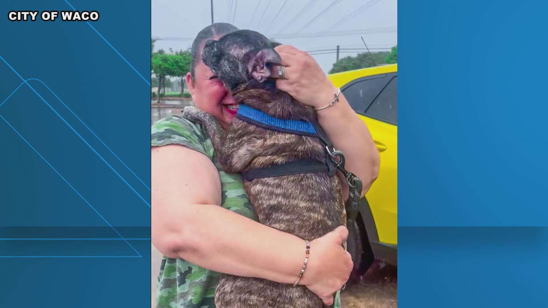 The dog, named Blue, was found in a Waco park and returned to her Corpus Christi family for the first time since 2017.