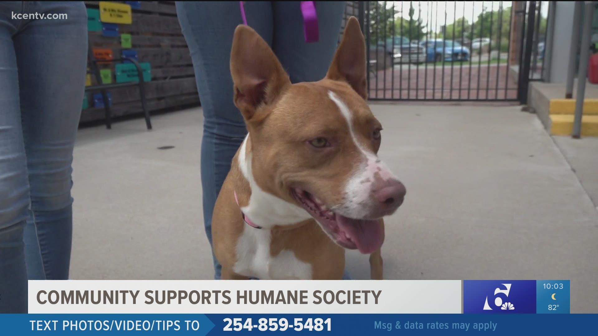 The humane society was happy to see so many adoptions, but said they may be at capacity again fairly soon.