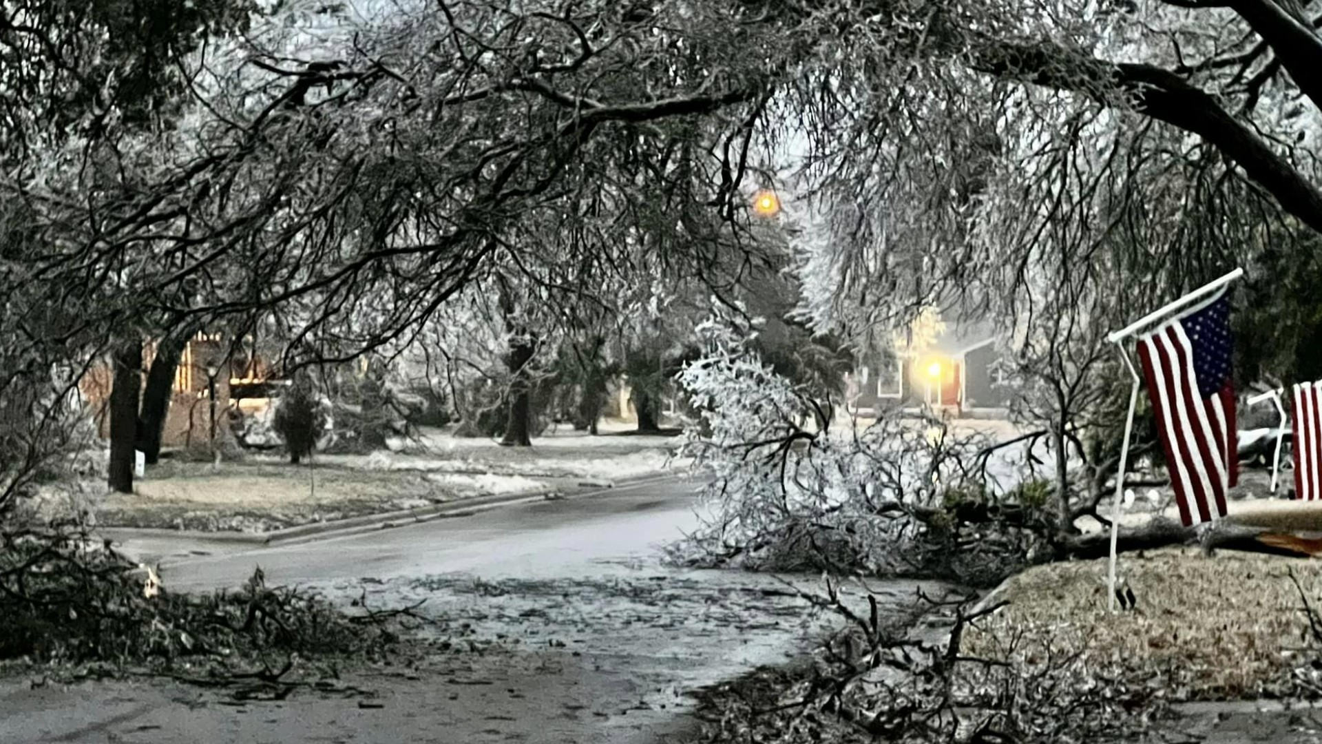 Steps to take after a tree damages your house or car