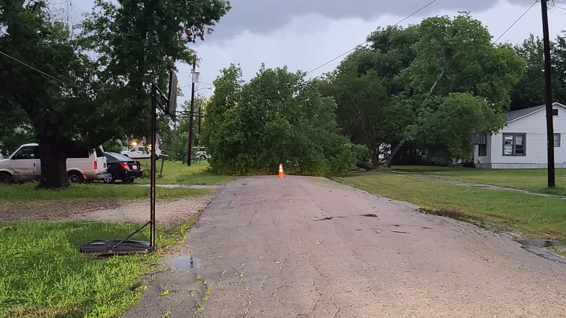 Groesbeck, TX News | Multiple roads blocked by fallen trees | kcentv.com