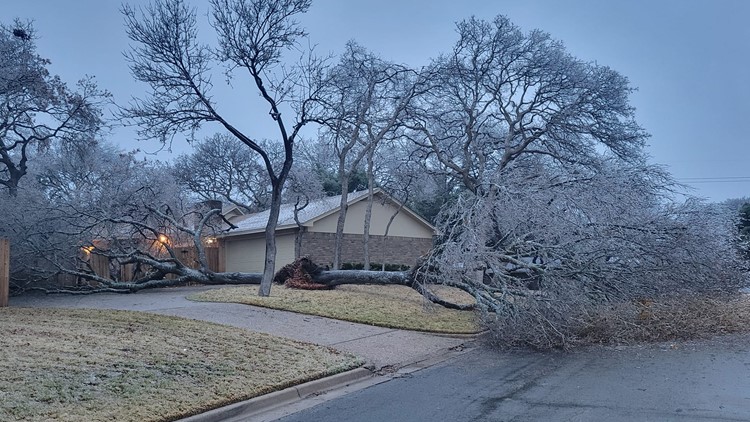 Downed trees, power lines leave thousands in the dark in Bell County