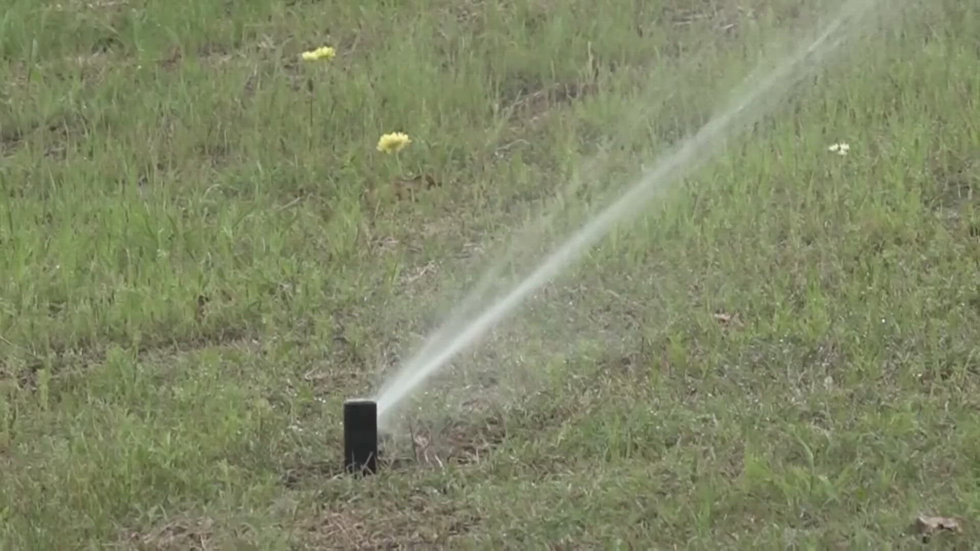 Texas Sb 6 2025 Bill 