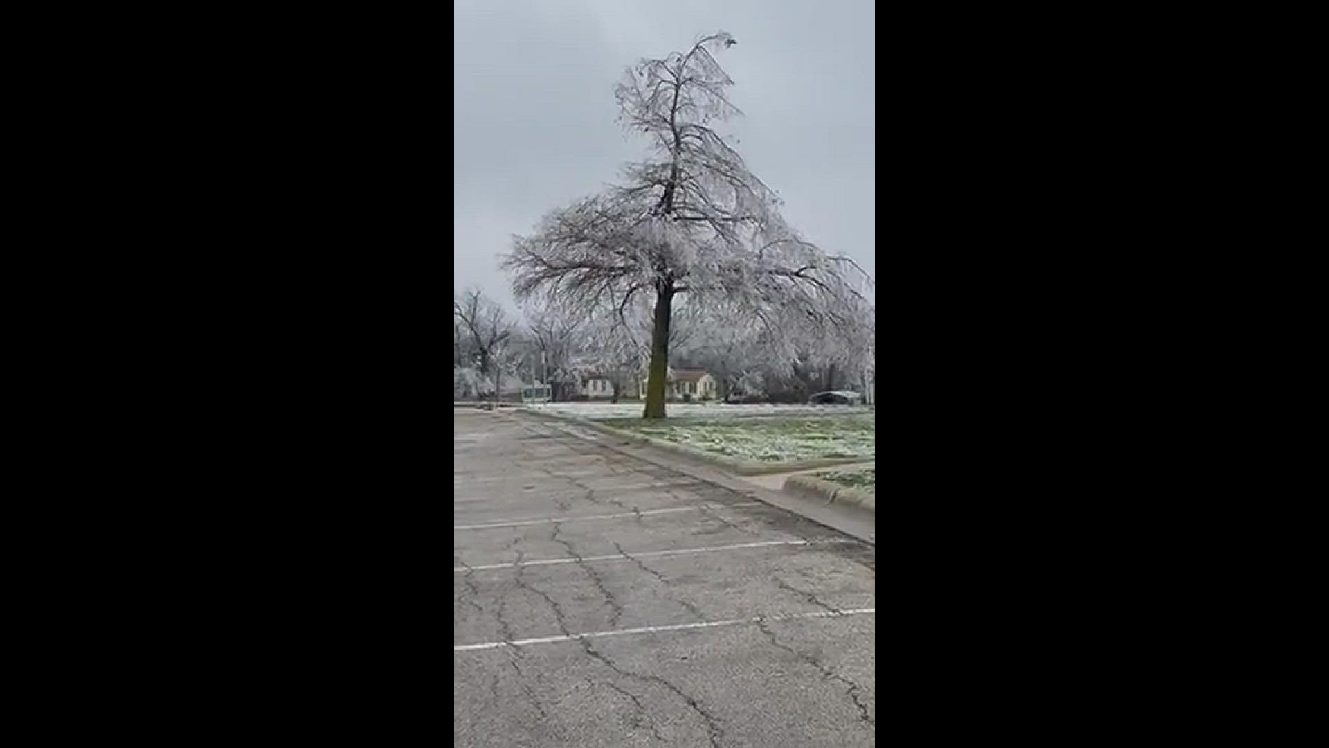 Large chunks of ice falling off of tree.
Credit: Jennifer Edds