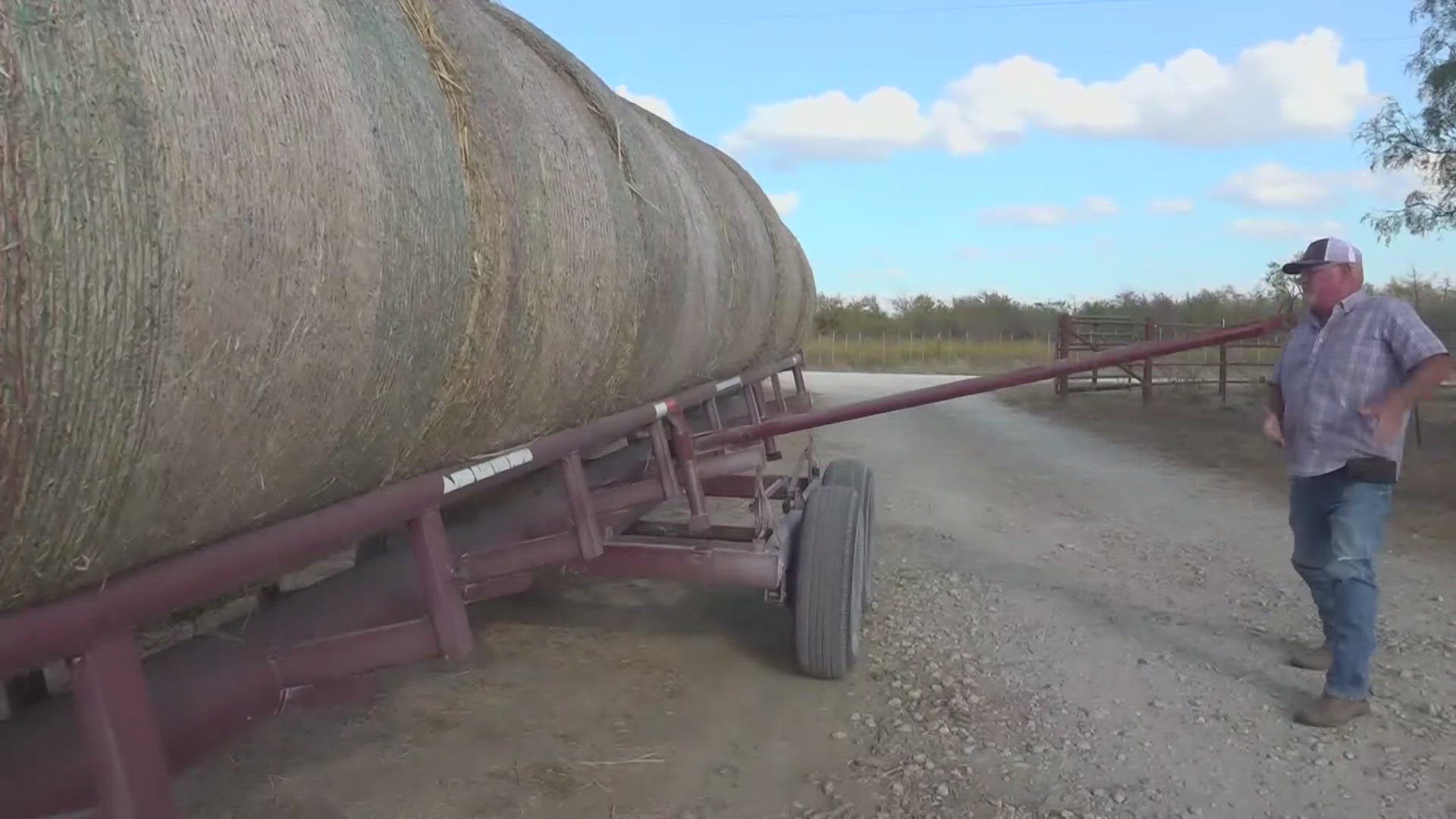 Cattle ranchers across Central Texas are being hit hard by second-driest October ever recorded in the state