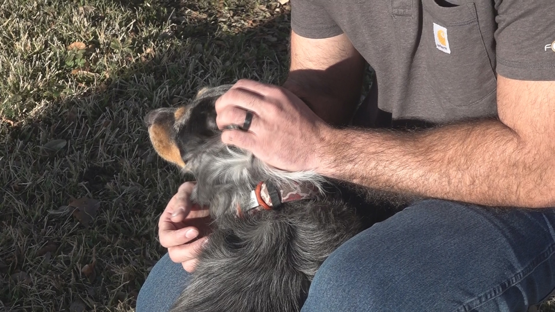 Bell County dog rescued after falling more than 30 feet into a well