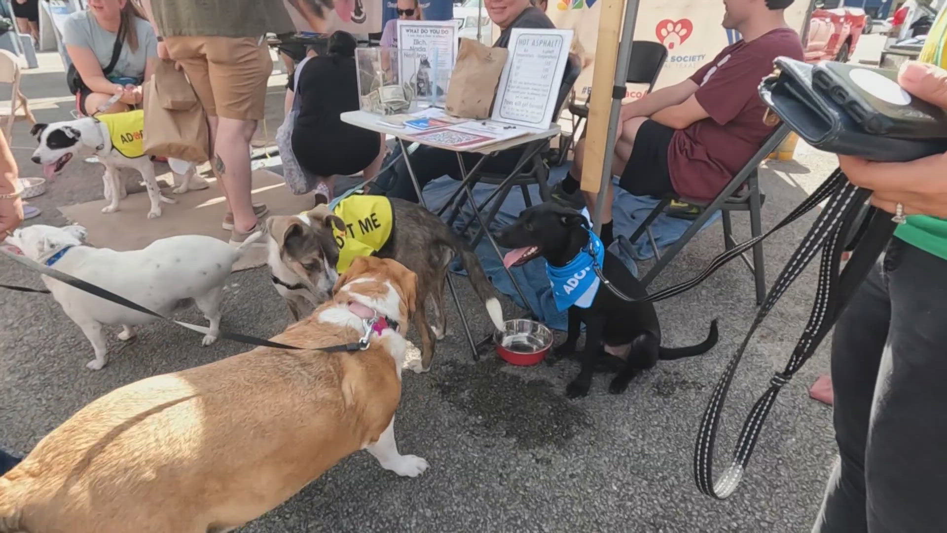It's currently located near Baylor's new Foster Pavilion is, but will be moving to the parking lot across from the McLennan County Courthouse.