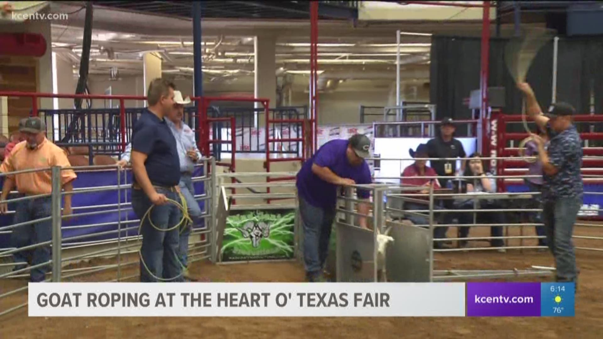 KCEN Channel 6 sports anchors Jessica Morrey and Kurtis Quillin competed Wednesday in the goat roping competition at the Heart 'o Texas Fair.