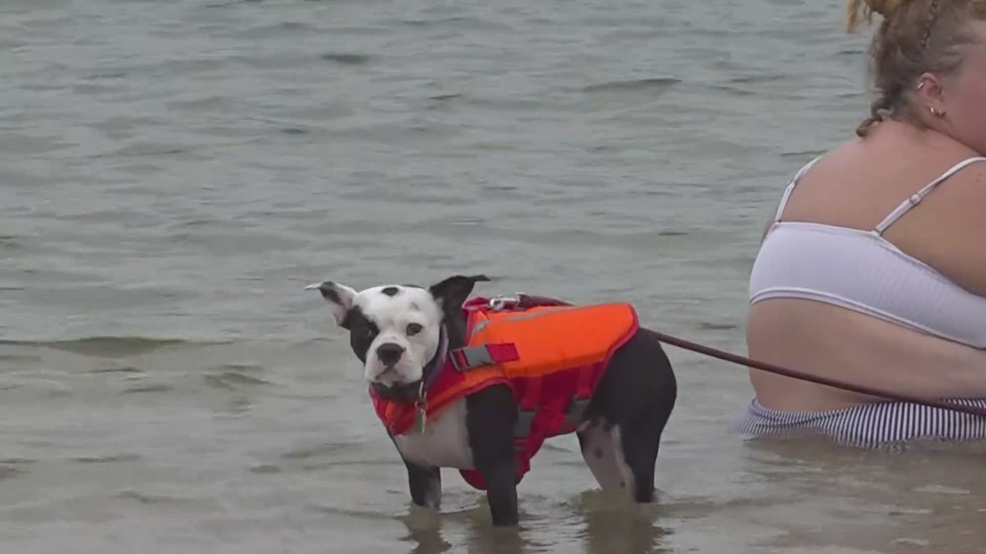 The water level was hitting record highs earlier in the summer, but have subsided.