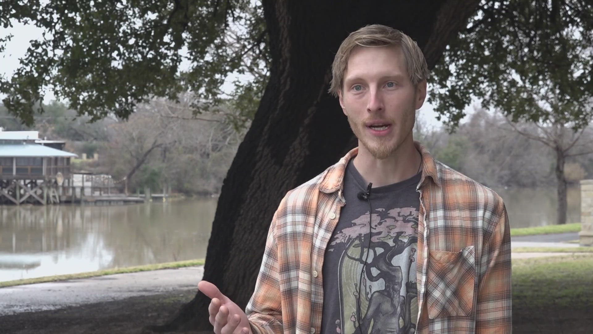 The fungal tree disease can kill certain oak trees native to Central Texas.