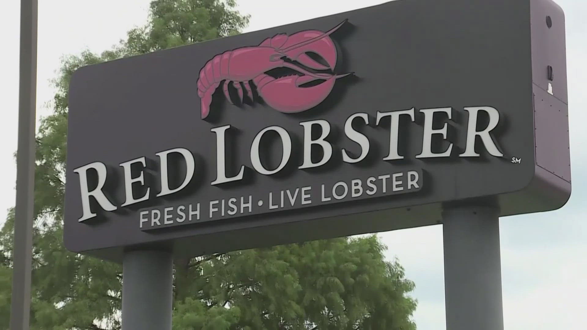 Red Lobster, which abruptly shut down more than 50 locations Monday, has yet to say anything publicly about the closures.