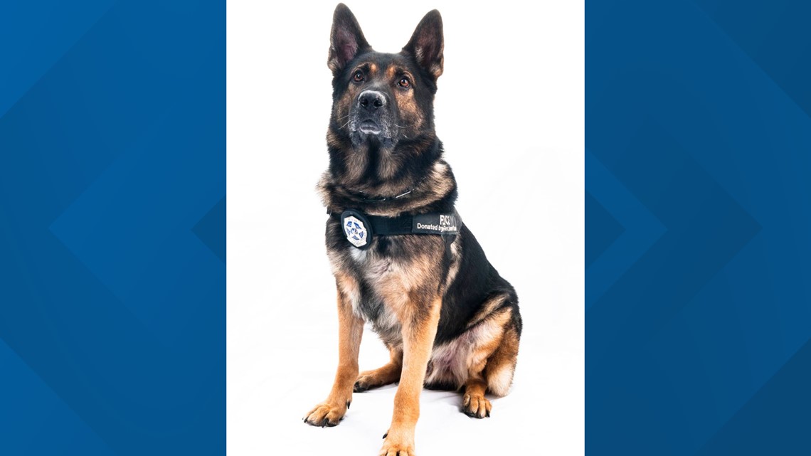Waco ISD Police Department announce death of K9 Gero - Vimarsana News