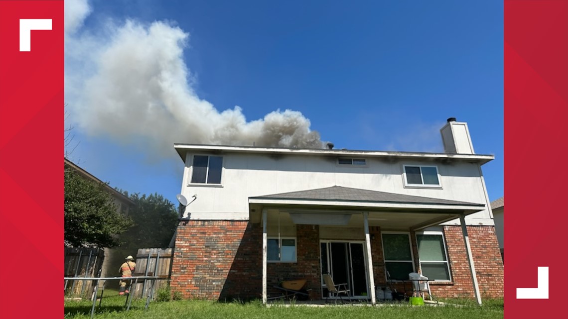 Pet rescued from Harker Heights, Texas house fire - Vimarsana News