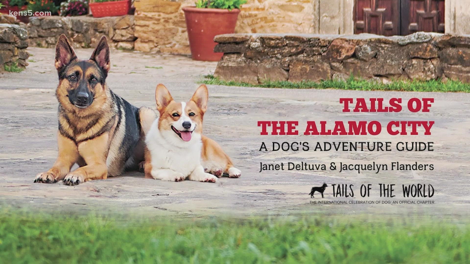 The retired air force colonel not only found a cute way to honor the four-legged heroes through a book, she's also a pet photographer. 🐾