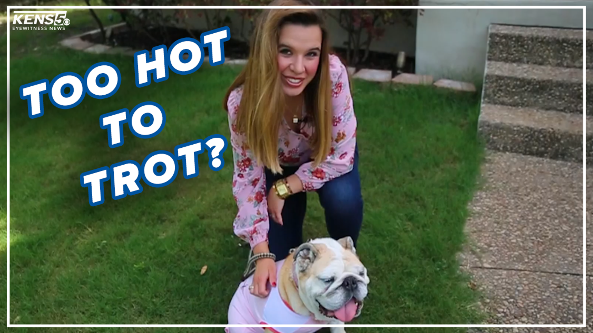 The Texas heat can be potentially dangerous for your pet. So digital reporter Lexi Hazlett gives you tips on how to keep your furry friend safe when walking them.