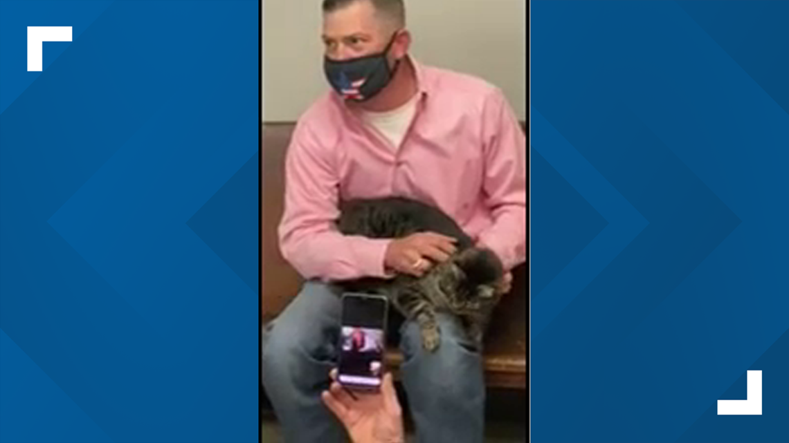 600-mile reunion: Cat from Houston area reunited with owners after being found in Northwest Arkansas - Vimarsana News