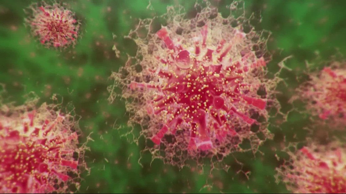 Omicron variant confirmed in Central Texas over the weekend - Vimarsana News