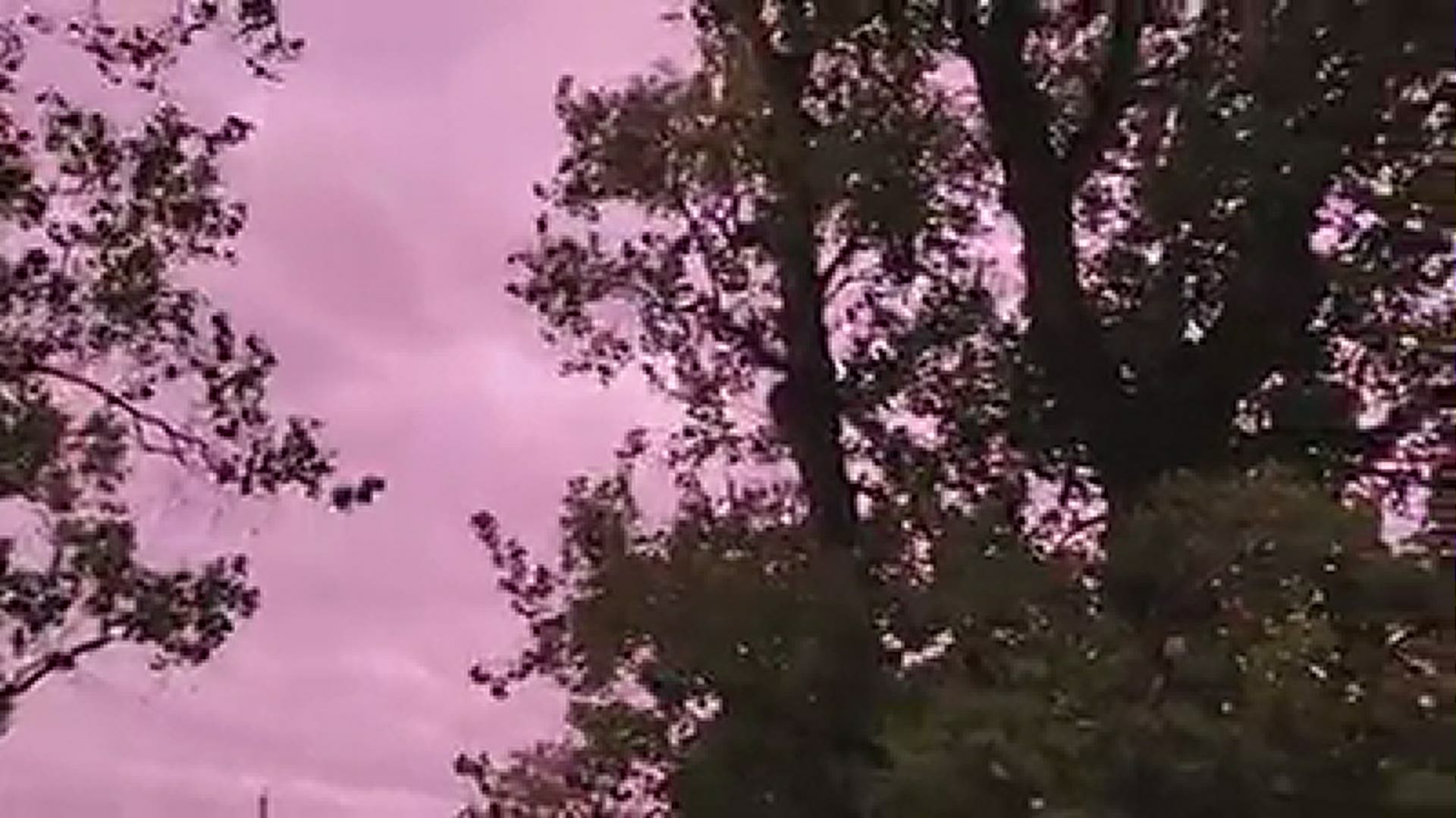 Viewer Rafael Rodriguez captured this beautiful video of the purple sky over southeast Texas Friday night after Hurricane Delta passed by.