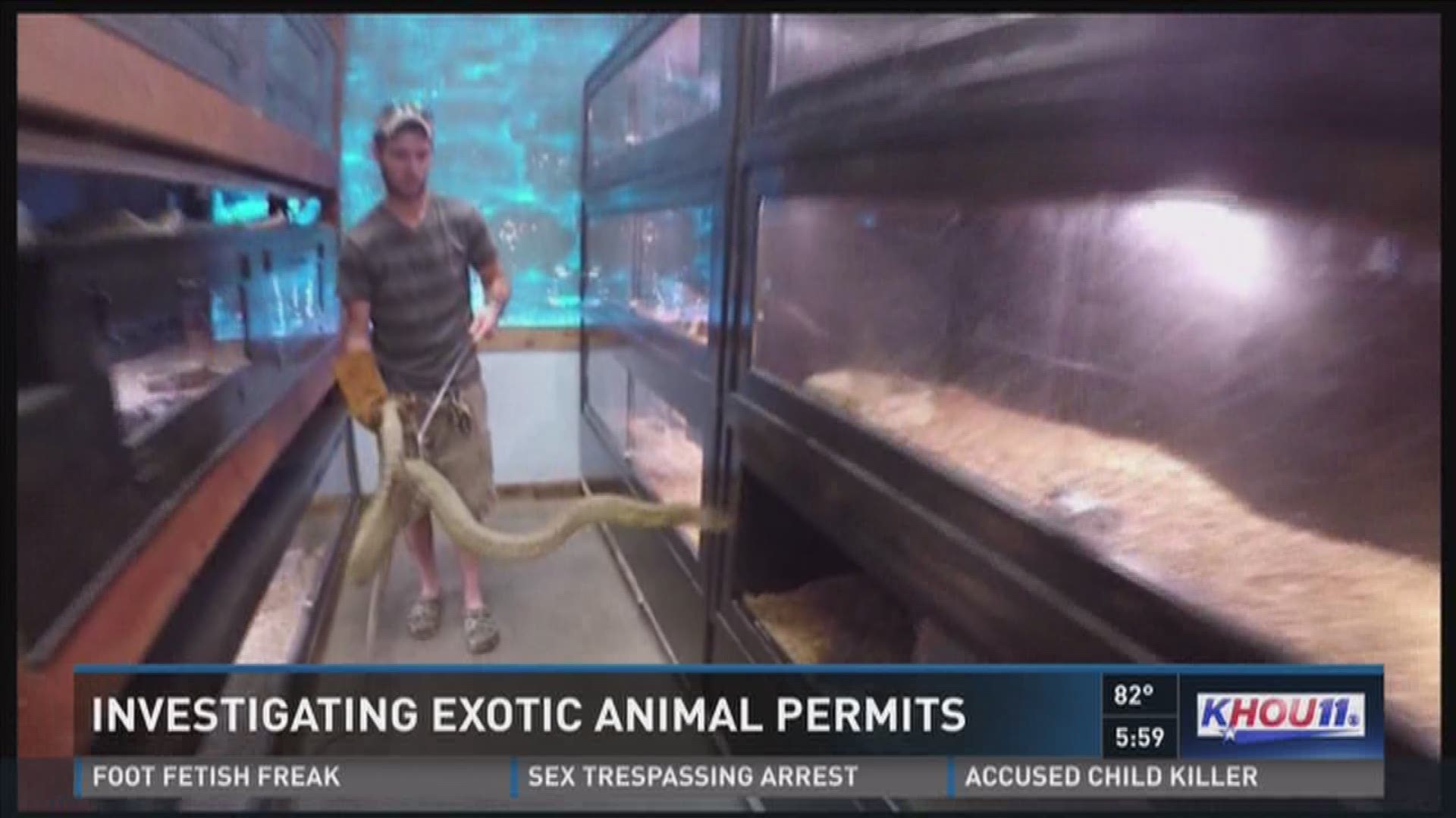 Investigating exotic animal permits