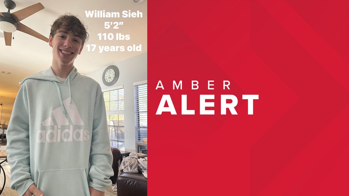 Missing Pearland, Texas teen William Sieh | AMBER Alert - Vimarsana News