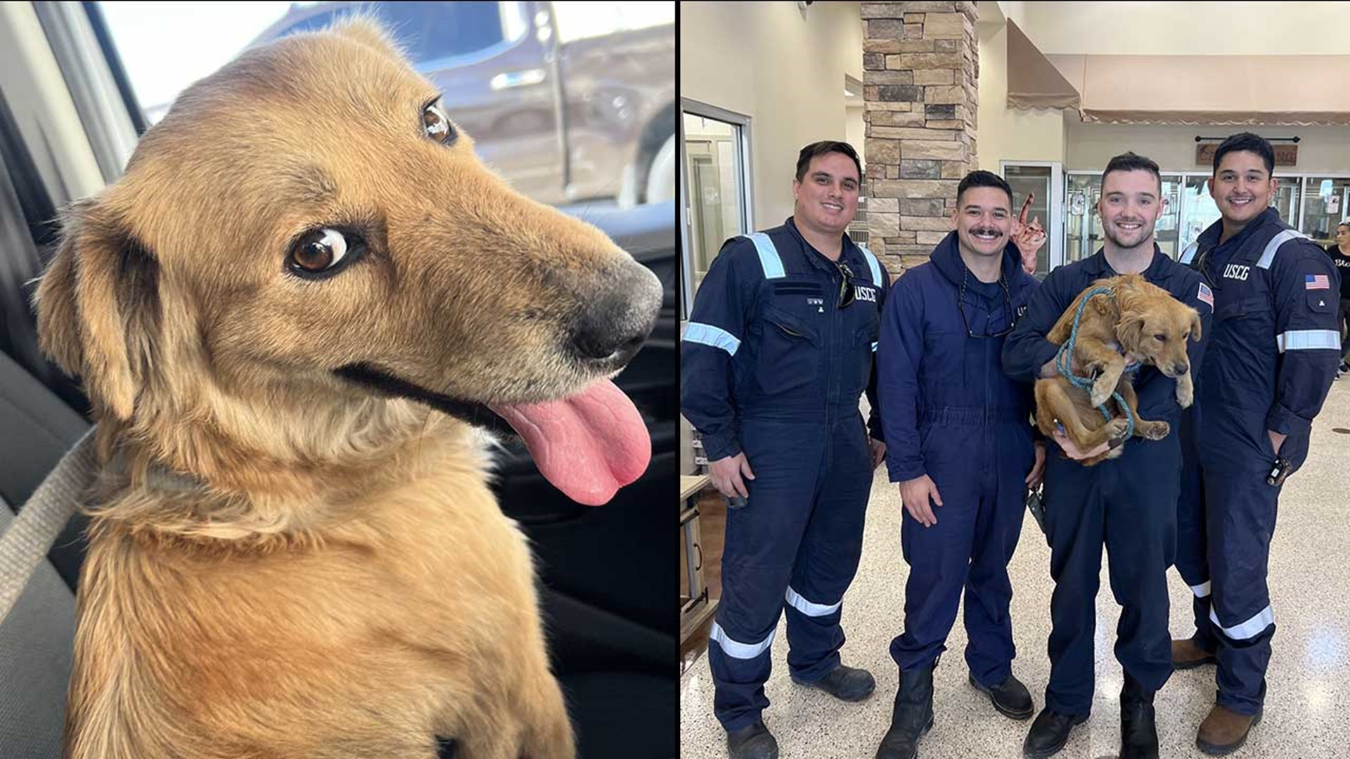 The Coast Guard said Connie was heard barking and scratching from inside a container at Port Houston that had been sealed.