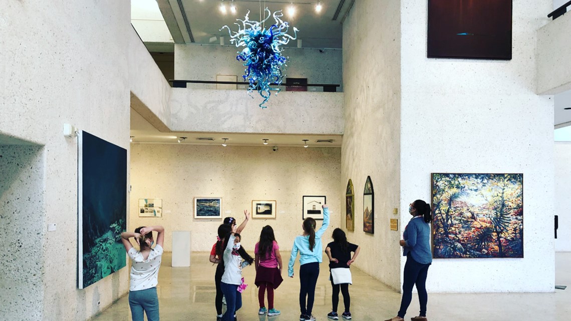 Art Museum of South Texas free admission EBT card