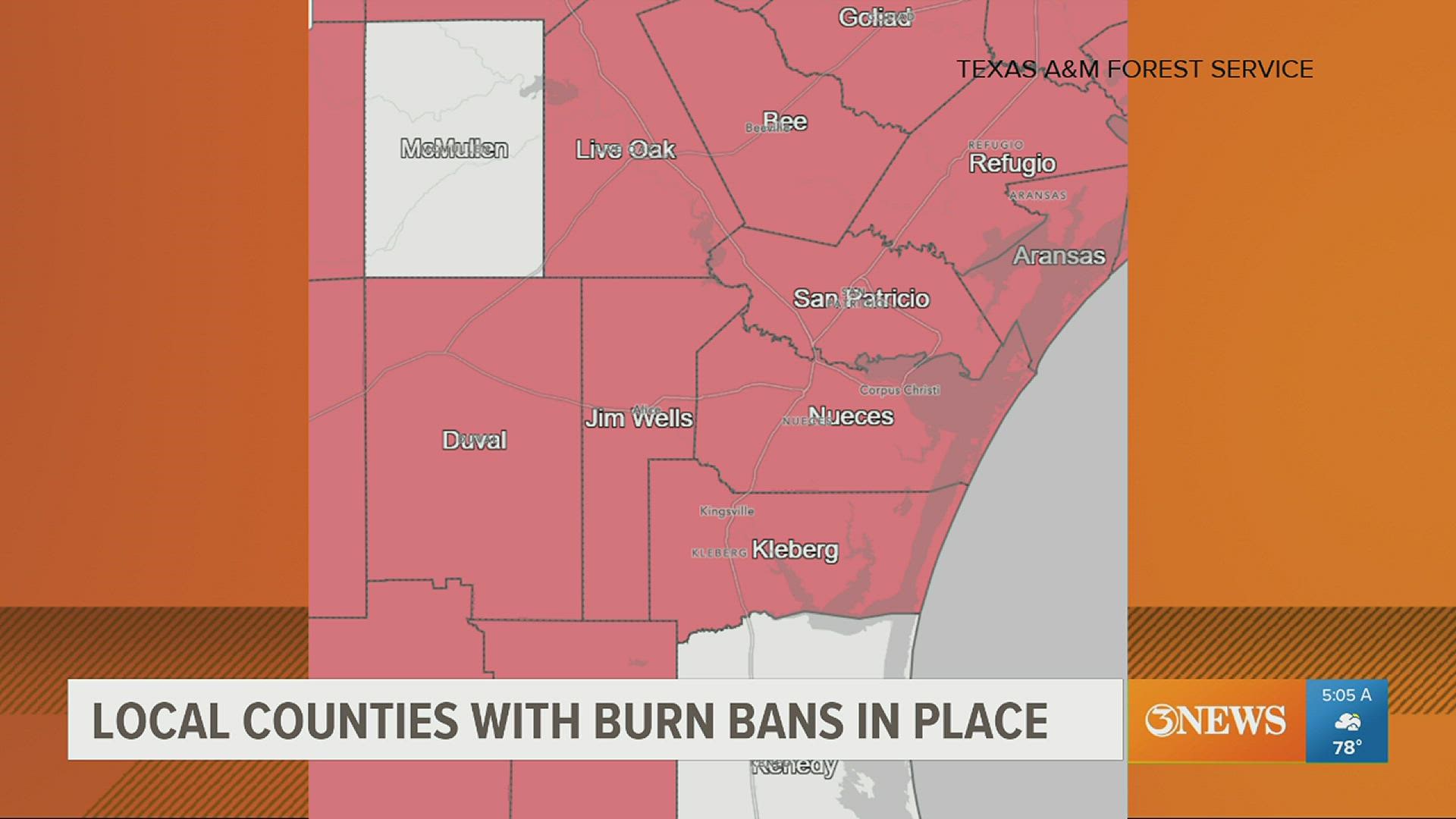 Burn bans are in place for most South Texas counties as hot, dry weather can easily fuel wildfires.