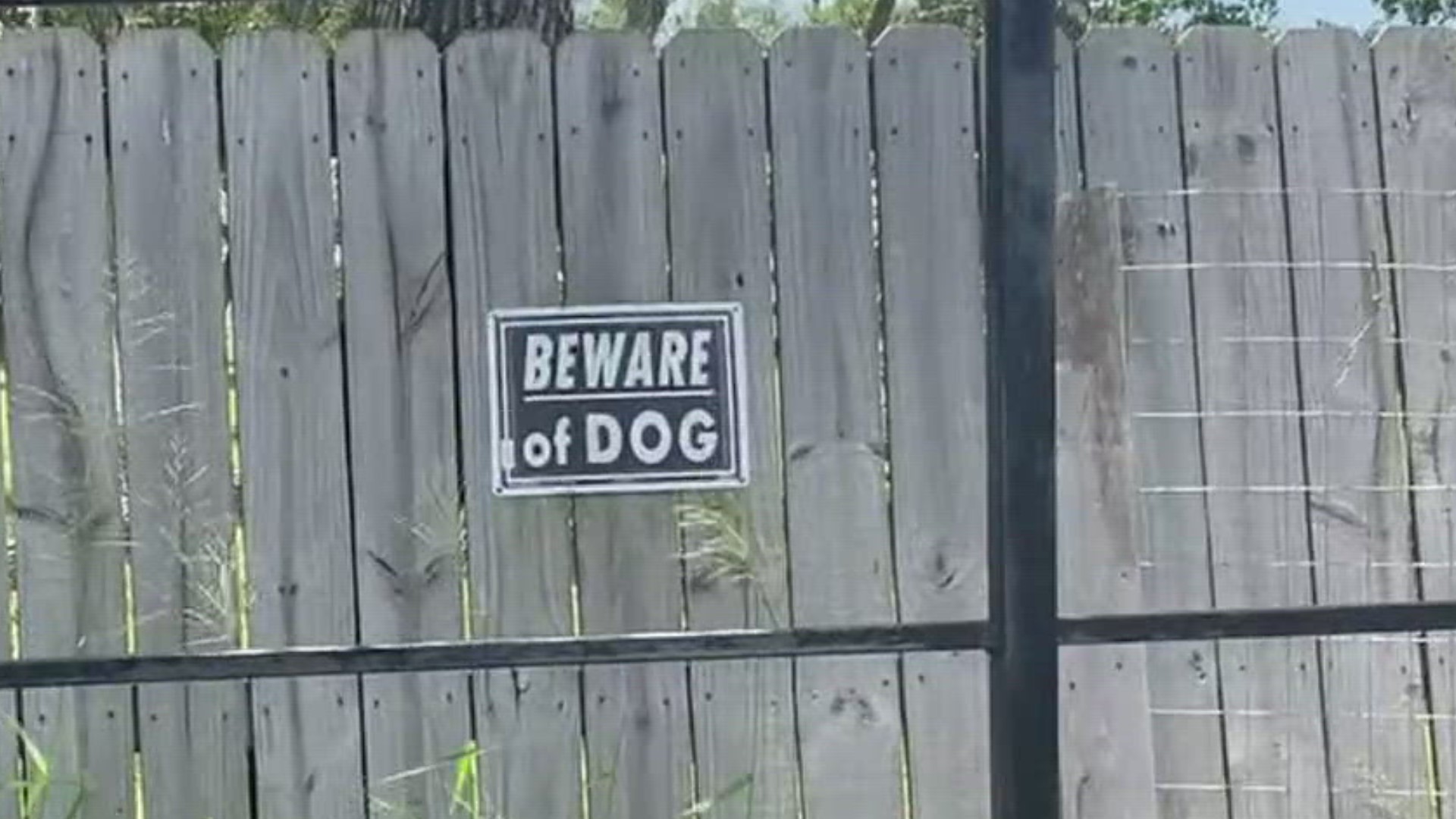 The man was walking down the 1000 block of San Antonio St. when he was attacked by the pack of dogs, Sheriff Bill Mills told 3NEWS.