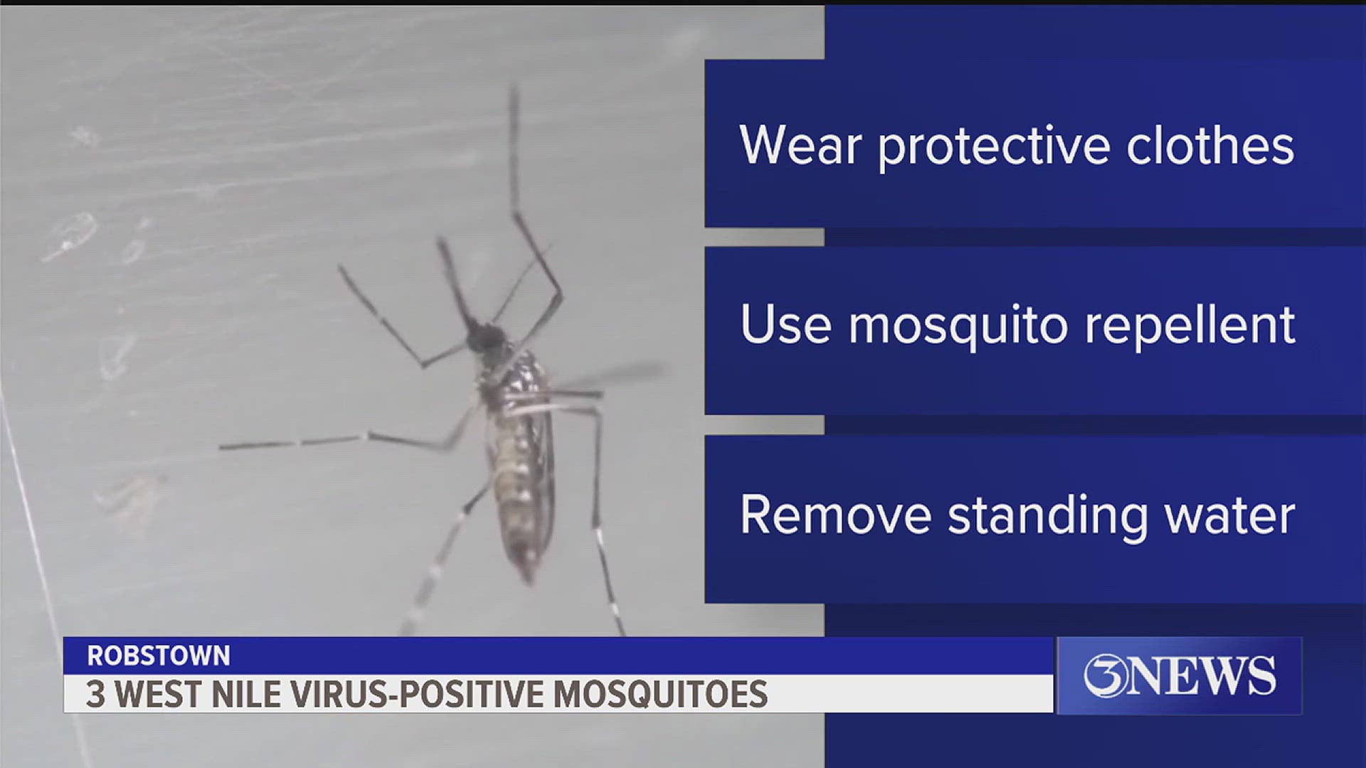 Nueces County Vector Control will be spraying the area daily and will continue to monitor the mosquito pools.