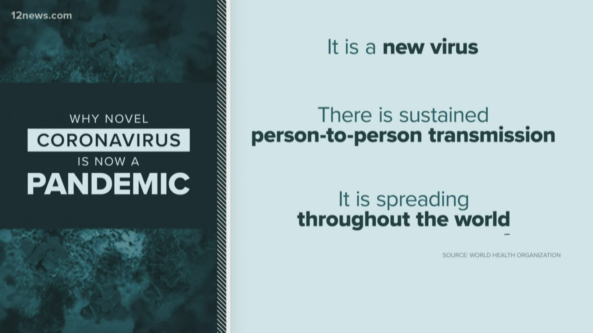What is a pandemic? Team 12's Trisha Hendricks is breaking it down for you.