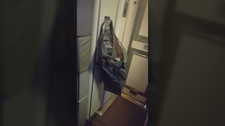 'What do you mean I have to pee in a bag?': Flushed diaper causes problems on plane