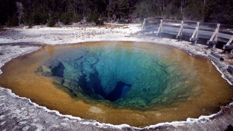 Men banned from Yellowstone for cooking chickens in hot spring